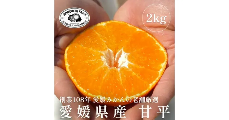 【ふるさと納税】創業百八年 愛媛みかんの老舗【甘平2kg】家庭用【新口農園】【C70-10】_ みかん ミカン 柑橘 フルーツ 果物 くだもの 青果 甘平 かんぺい 産地直送 産直 愛媛 甘い 常温 家庭用 希少 名産地 【1451141】