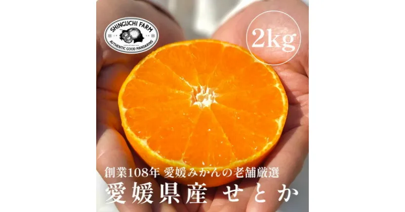 【ふるさと納税】創業百八年 愛媛みかんの老舗【せとか2kg】家庭用【新口農園】【C70-8】_ みかん ミカン 柑橘 フルーツ 果物 くだもの 青果 せとか 産地直送 産直 愛媛 甘い ジューシー 常温 家庭用 希少 【1451139】