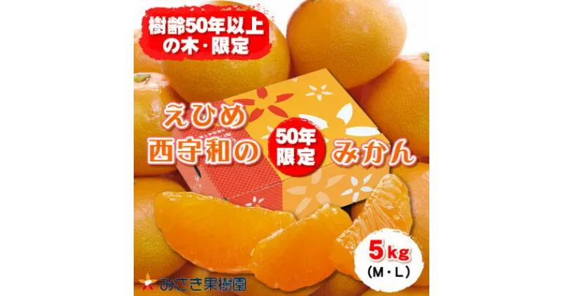 【ふるさと納税】みさき果樹園の樹齢50年越え えひめ西宇和のみかん5kg　M・Lサイズ【D21-16】_ みかん ミカン 柑橘 フルーツ くだもの 果物 青果 ふるーつ 甘い ジューシー 贈答 ギフト プレゼント 産直 産地直送 旬 愛媛 宇和 限定 【1455261】