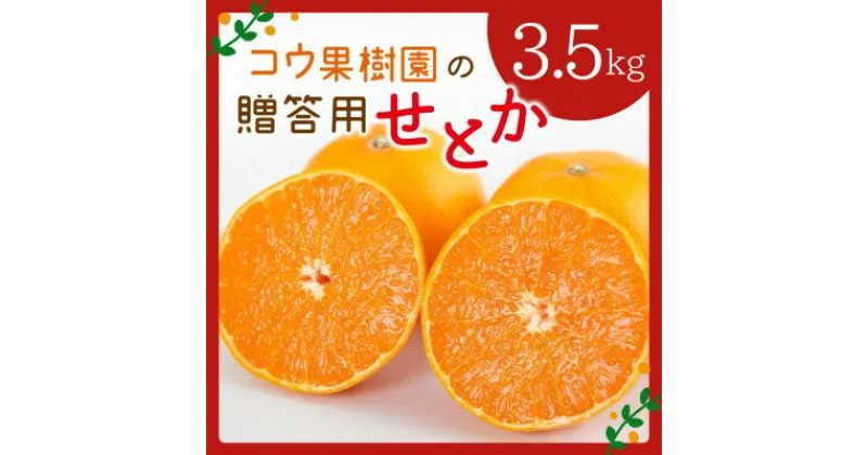 【ふるさと納税】コウ果樹園の贈答用【せとか】3.5kg(バラ詰め)【C33-34】【1457340】