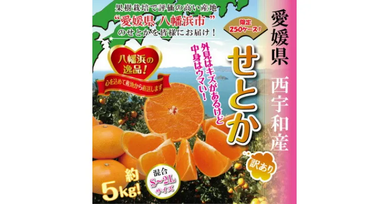 【ふるさと納税】2025年2月発送開始　柑橘の大トロ!「せとか」約5キロ　限定250個【訳あり品】【C39-52】_ 訳あり 訳アリ みかん ミカン 愛媛県 フルーツ 果物 くだもの 柑橘 かんきつ 人気 産地直送 産直 ジューシー 甘い 果汁 糖度 規格外 濃厚 5kg 【1464339】