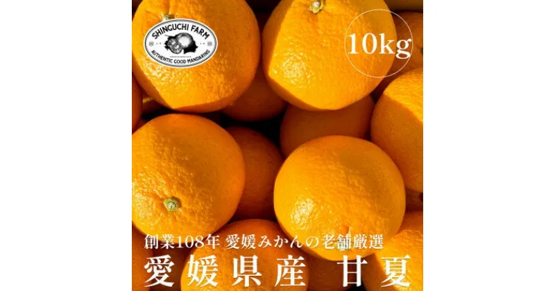 【ふるさと納税】創業百八年 愛媛みかんの老舗【甘夏10kg】家庭用【新口農園】【D70-27】_ みかん ミカン 柑橘 フルーツ 果物 くだもの 青果 甘夏 あまなつ 産地直送 産直 愛媛 甘い ジューシー 常温 家庭用 希少 名産地 木成り 完熟 【1470661】