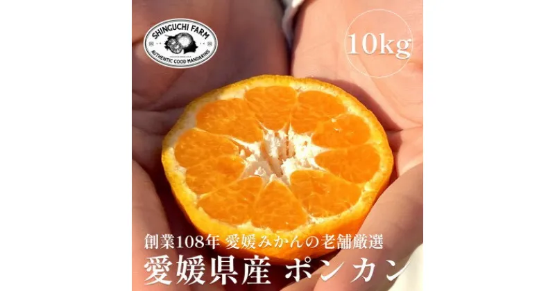 【ふるさと納税】創業百八年 愛媛みかんの老舗【ポンカン10kg】家庭用【新口農園】【E70-25】【1470663】