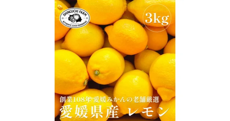 【ふるさと納税】創業百八年 愛媛みかんの老舗【レモン3kg】家庭用【新口農園】【C70-20】【1470687】