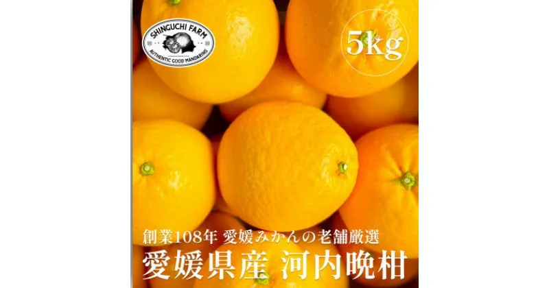 【ふるさと納税】創業108年 愛媛みかんの老舗【河内晩柑5kg】【新口農園】【C70-16】_ 晩柑 河内晩柑 みかん ミカン 柑橘 フルーツ 果物 くだもの 青果 産地直送 産直 愛媛 甘い ジューシー 常温 和製グレープフルーツ さっぱり 家庭用 【1470706】