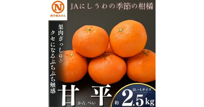 【ふるさと納税】JAにしうわの季節の柑橘(甘平　約2.5kg　化粧箱)【F08-9】【1474277】