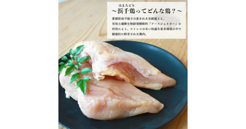 【ふるさと納税】浜千鶏セット(フレッシュ)【C29-1】_ 鶏肉 とりにく とり肉 鳥肉 モモ肉 むね肉 手羽元 ささみ ササミ セット 食べ比べ 冷蔵 産地直送 国産 産直 愛媛 人気 小分け 贈答 ギフト 料理 調理 BBQ おかず おつまみ 【配送不可地域：離島】【1487890】