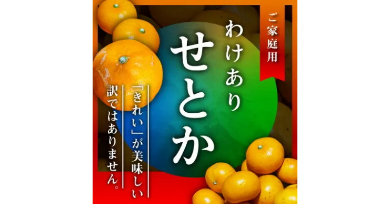 【ふるさと納税】三代目のわけありせとか4kg【サイズ不揃い・傷】【C31-34】_ 訳アリ わけあり ワケアリミカン みかん せとか フルーツ 果物 くだもの 家庭用 人気 柑橘 かんきつ 不揃い 規格外 傷 愛媛 旬 産地直送 産直 季節限定 【配送不可地域：離島】【1488065】