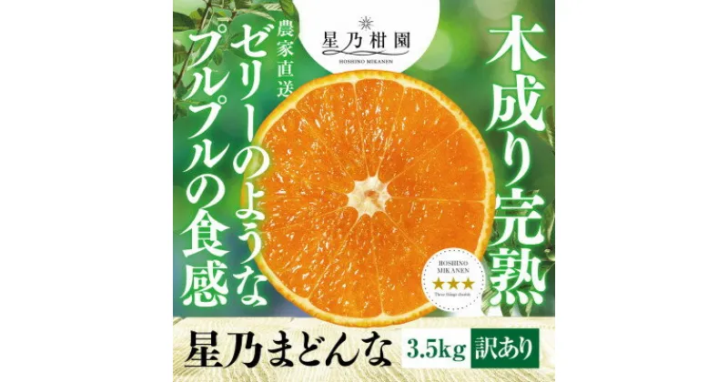 【ふるさと納税】【先行予約】星乃みかん園の星乃まどんな(3.5kg)【C45-86】【1475871】