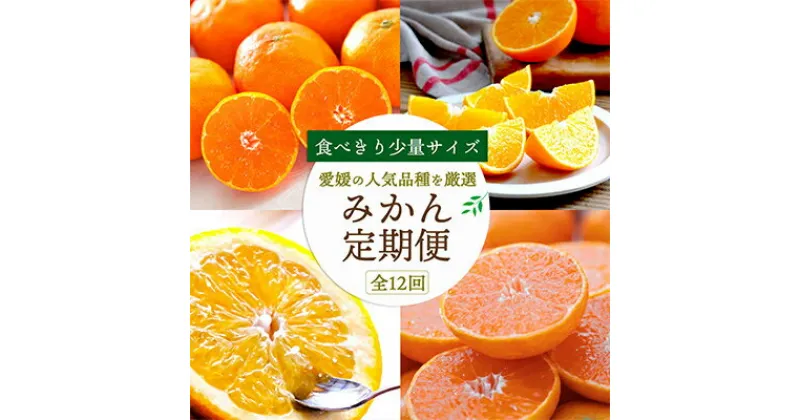 【ふるさと納税】【発送月固定定期便】食べ切り少量サイズ 愛媛の人気品種!柑橘定期便(秀品)全12回【H25-156】【配送不可地域：離島】【4012890】