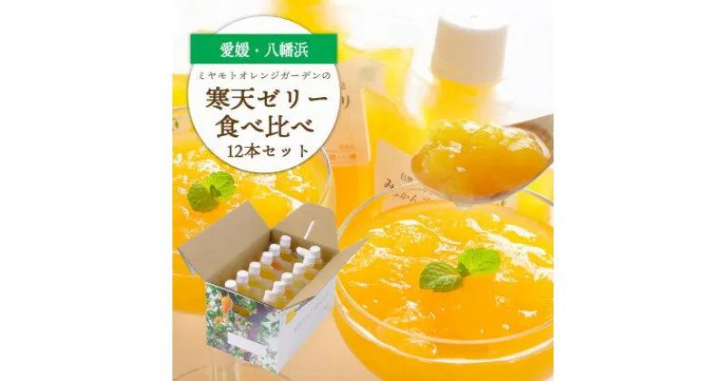 【ふるさと納税】人気品種食べ比べ!みかん寒天ゼリーオールスター12本セット ミヤモトオレンジガーデン【D25-20】_ ゼリー 寒天 デザート スイーツ セット みかん ミカン 柑橘 フルーツ ふるーつ 果物 くだもの 愛媛 食べ比べ 産直 産地直送 飲むゼリー 国産 【1503231】