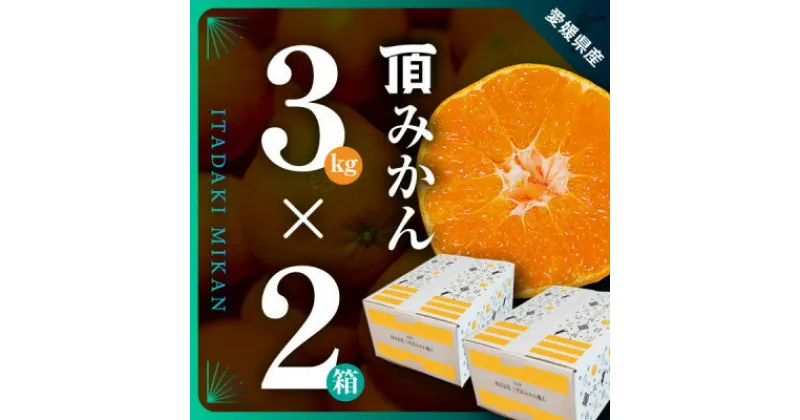 【ふるさと納税】三代目がつくる【頂みかん】3kg×2箱【C31-21】_ みかん ミカン 柑橘 フルーツ 果物 くだもの 青果 産地直送 産直 3kg セット 2箱 贈答 ギフト プレゼント 【1503338】