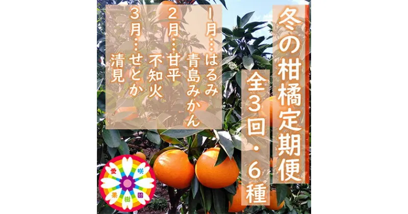 【ふるさと納税】【発送月固定定期便】愛咲果樹園「冬の柑橘定期便」(1月～3月)全3回【F71-20】_ みかん ミカン 柑橘 くだもの 果物 フルーツ 青果 定期便 甘平 不知火 せとか きよみ 清見 しらぬい 常温 デザート 産地直送 産直 愛媛 人気 【4013391】