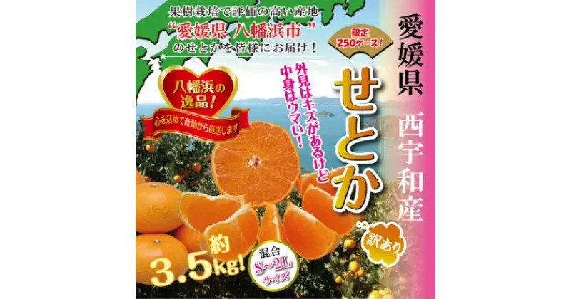 【ふるさと納税】柑橘の大トロ!「せとか」約3.5キロ　限定250個【訳あり品・家庭向け】【C39-51】_ 訳あり ワケアリ みかん ミカン 柑橘 せとか 果物 くだもの フルーツ 旬 愛媛 柑橘の大トロ 濃厚 甘み 国産 産直 規格外 不揃い 傷 【配送不可地域：離島】【1491413】