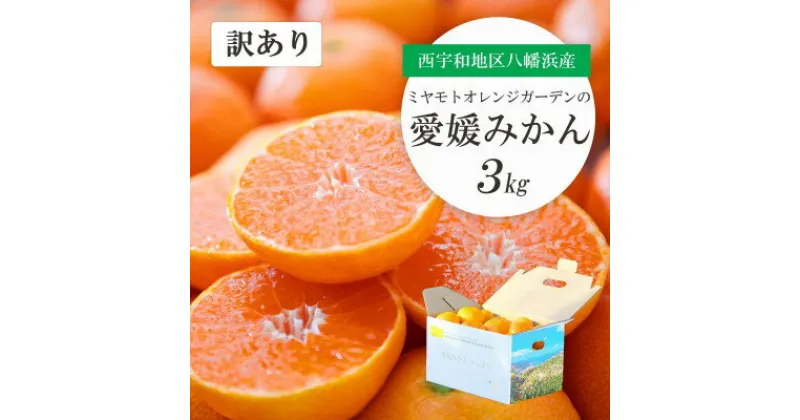 【ふるさと納税】甘みと酸味のバランスが絶妙!食べる手が止まらない 愛媛みかん3kg【訳あり】【A25-164】【1509982】