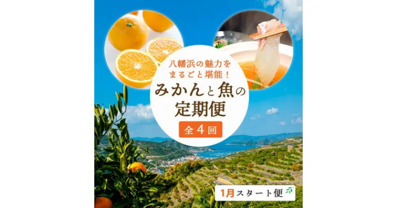 【ふるさと納税】【発送月固定定期便】みかんと魚の町八幡浜!みかんと魚の定期便～1月スタート便【H25-87】全4回【配送不可地域：離島・北海道・沖縄県】【4051472】