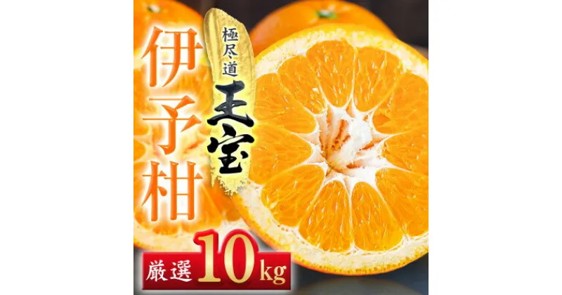 【ふるさと納税】【愛媛名産】玉宝伊予柑　10kg【F64-60】【1510839】