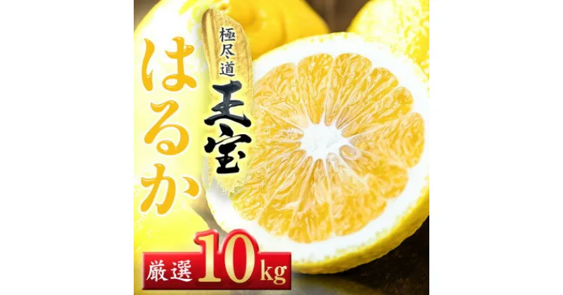 【ふるさと納税】【愛媛名産】玉宝はるか　10kg【F64-57】【1511219】