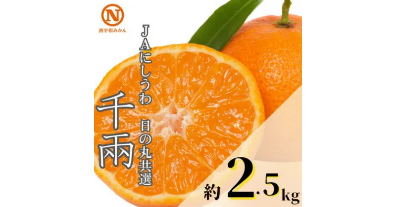 【ふるさと納税】JAにしうわの季節の柑橘(日の丸共選 「千兩」 約2.5kg)【C08-77】【1510452】