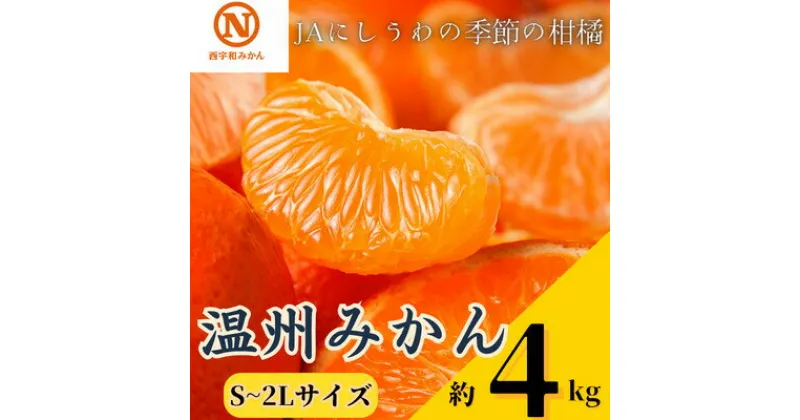 【ふるさと納税】JAにしうわの季節の柑橘　温州みかん約4kg(S～2Lサイズ)【C08-79】【1510454】