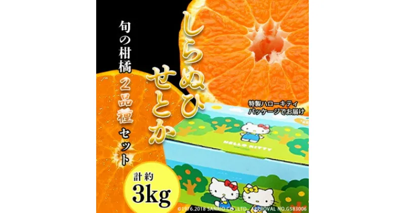 【ふるさと納税】柑橘味くらべ!「せとか+しらぬい」2種詰め合わせ計約3kg(ハローキティパッケージ)【C24-10】【1518750】