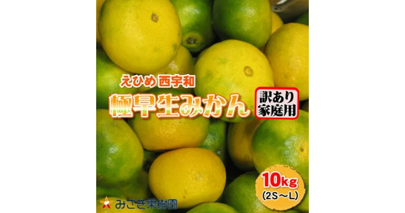 【ふるさと納税】【訳あり君】極早生みかん 10kg 愛媛県産【C21-30】【1522432】