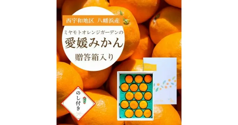 【ふるさと納税】西宇和地区八幡浜産 愛媛みかん【贈答用】15個入り　のし付き【C25-167】【1536565】