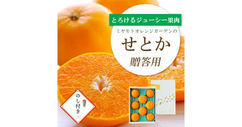 【ふるさと納税】【2025年2月以降発送】とろける濃厚柑橘 せとか のし付き ギフトボックス入り【D25-168】【1536588】