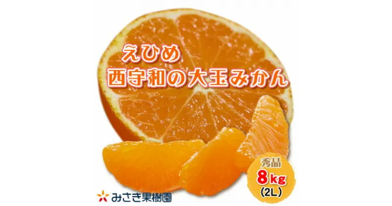 【ふるさと納税】みさき果樹園の樹齢50年越え えひめ西宇和のみかん8kg 大玉サイズ【C21-28】【1524191】