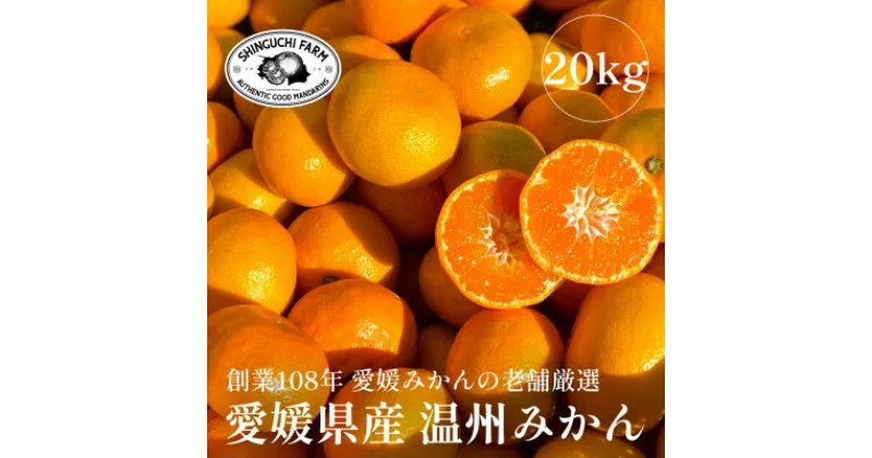 【ふるさと納税】愛媛みかんの老舗厳選【愛媛県川上産 温州みかん20kg】新口農園【H70-33】【1536301】