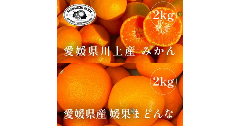 【ふるさと納税】創業百八年 愛媛みかんの老舗【みかん2kg+まどんな2kg】食べ比べセット【C70-36】【1536339】