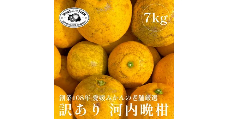 【ふるさと納税】創業百八年 愛媛みかんの老舗【河内晩柑 訳あり 7kg】新口農園【C70-45】【1537315】