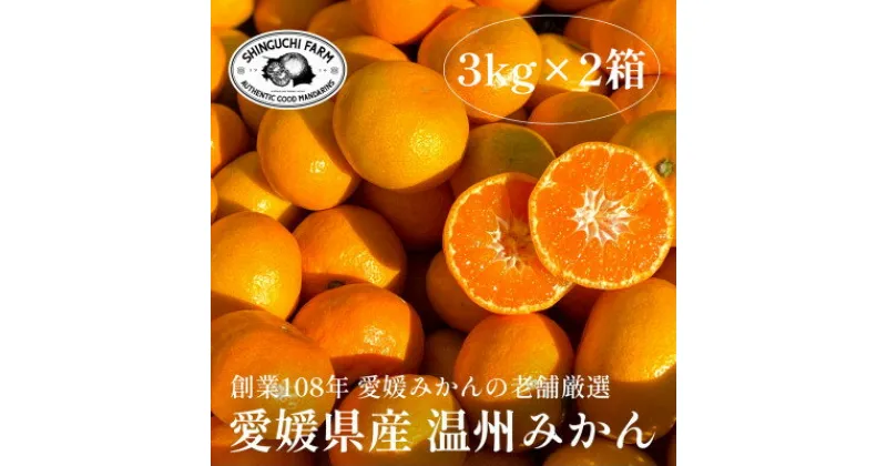 【ふるさと納税】愛媛みかんの老舗厳選【愛媛県川上産 温州みかん3kg×2箱】新口農園【C70-32】【1536240】