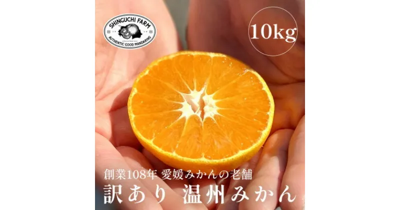 【ふるさと納税】創業百八年 愛媛みかんの老舗【訳あり みかん10kg】新口農園【C70-38】【1536341】