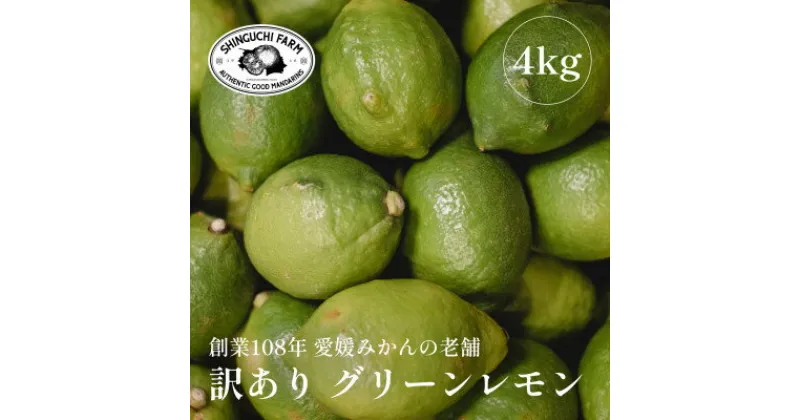 【ふるさと納税】創業百八年 愛媛県産【訳あり グリーンレモン 4kg】新口農園【C70-53】【1550695】