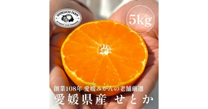 【ふるさと納税】創業百八年 愛媛みかんの老舗【せとか5kg(約15個〜30個)】家庭用【新口農園】【F70-57】【1554059】