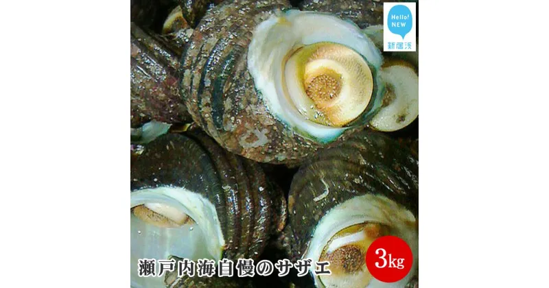 【ふるさと納税】絶品！！瀬戸内海自慢のサザエ3kg