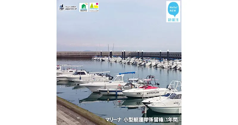 【ふるさと納税】 新居浜マリーナ 小型艇護岸係留権 （一年間）