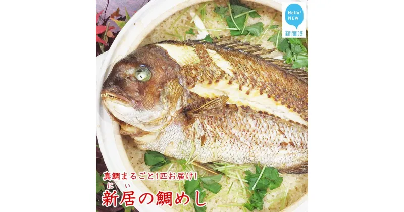 【ふるさと納税】鯛めし 4人前 瀬戸内海 天然 真鯛 新居浜市特産 新居のめぐみ米を使った「新居の鯛めし」