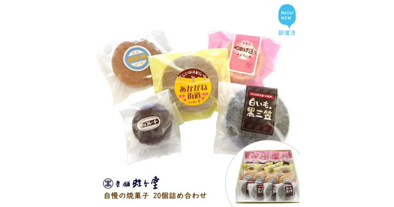 【ふるさと納税】 菓舗 蛭子堂　自慢の焼菓子 20個詰合せ