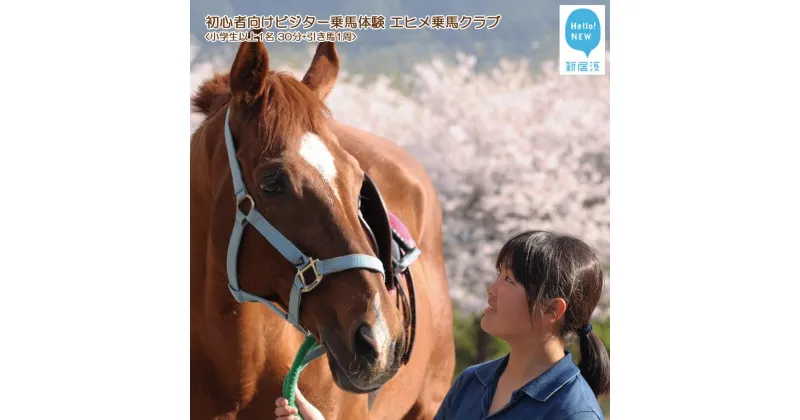 【ふるさと納税】 初心者向け　ビジター乗馬体験　エヒメ乗馬クラブ（小学生以上1名 30分+引き馬1周）