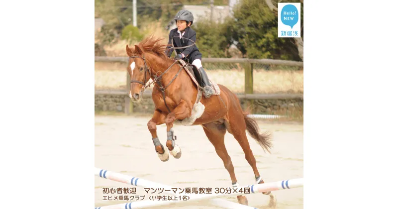 【ふるさと納税】 初心者歓迎　マンツーマン乗馬教室30分×4回　エヒメ乗馬クラブ（小学生以上1名）