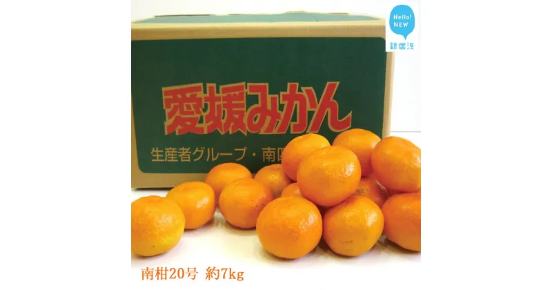 【ふるさと納税】南柑20号（温州みかん） 約7kg（宇和島産） 【期間限定：11月30日まで】【発送期間限定：12月】