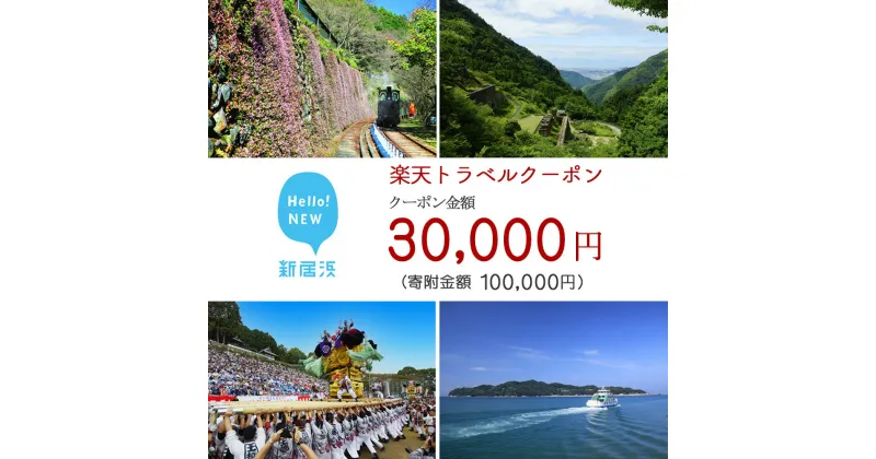 【ふるさと納税】愛媛県新居浜市の対象施設で使える楽天トラベルクーポン寄付額100000円