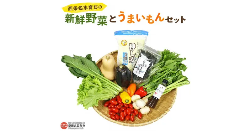 【ふるさと納税】＜西条名水育ちの新鮮野菜とうまいもんセット＞※翌月末迄に順次出荷します。（旬のお野菜と加工品セット） やさい ドレッシング 詰め合わせ 産地直送 おまかせ 農産物 国産 愛媛県 西条市【冷蔵】