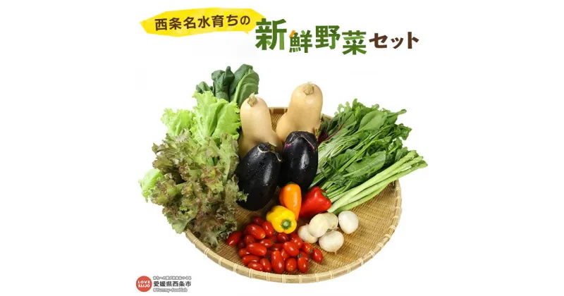 【ふるさと納税】＜西条名水育ちの新鮮野菜セット＞※翌月末迄に順次出荷します。（旬のお野菜セット） やさい 詰め合わせ 産地直送 おまかせ お楽しみ 愛媛県 西条市【冷蔵】