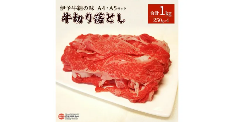 【ふるさと納税】＜伊予牛絹の味（A4,A5）牛切り落とし 合計1kg（250g×4）＞※翌月末迄に順次出荷します。 黒毛和牛 牛肉 国産 和牛 お肉 ビーフ 牛丼 カレー 野菜炒め 普段使い 1キロ 小分け 特産品 青野精肉店 愛媛県 西条市【冷凍】