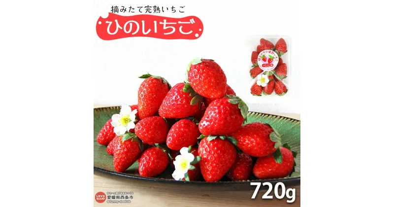 【ふるさと納税】予約受付＜摘みたて完熟いちご「ひのいちご」720g（180g×4パック）＞ ※2024年11月下旬から12月末迄に順次出荷します。 苺 イチゴ 果物 くだもの フルーツ ストロベリー 新鮮 旬 期間限定 産地直送 ひのいちご園 愛媛県 西条市 【冷蔵】【JP】