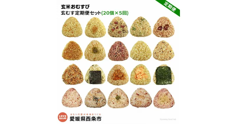 【ふるさと納税】＜玄米 おむすび 定期便 20個×5回 ＞- おにぎり 冷凍 鶏 チーズ 鮭 カレー 玄米おむすび玄むす屋 かんこめ 愛媛県 西条市 『※2か月以内に順次出荷』