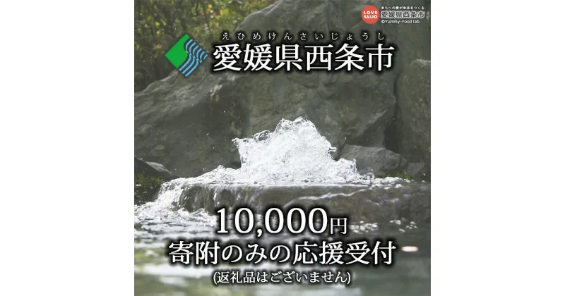 【ふるさと納税】＜寄附のみの応援受付(返礼品はございません)＞ 愛媛県 西条市 返礼品なし 寄付